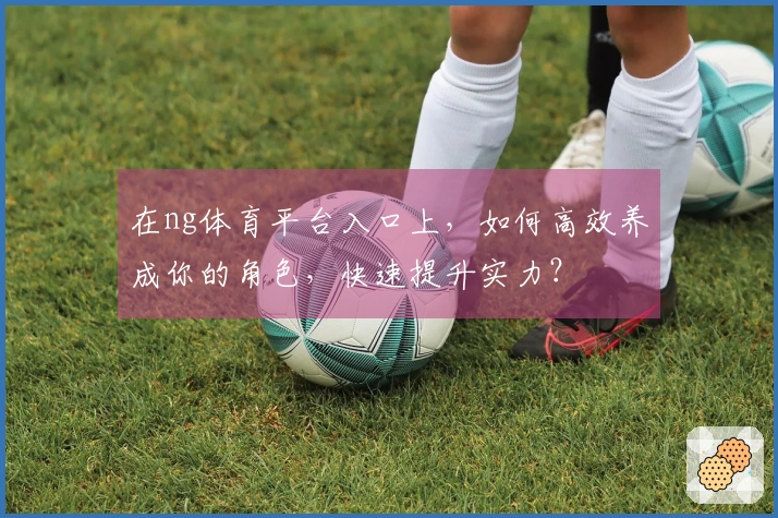 在ng体育平台入口上，如何高效养成你的角色，快速提升实力？